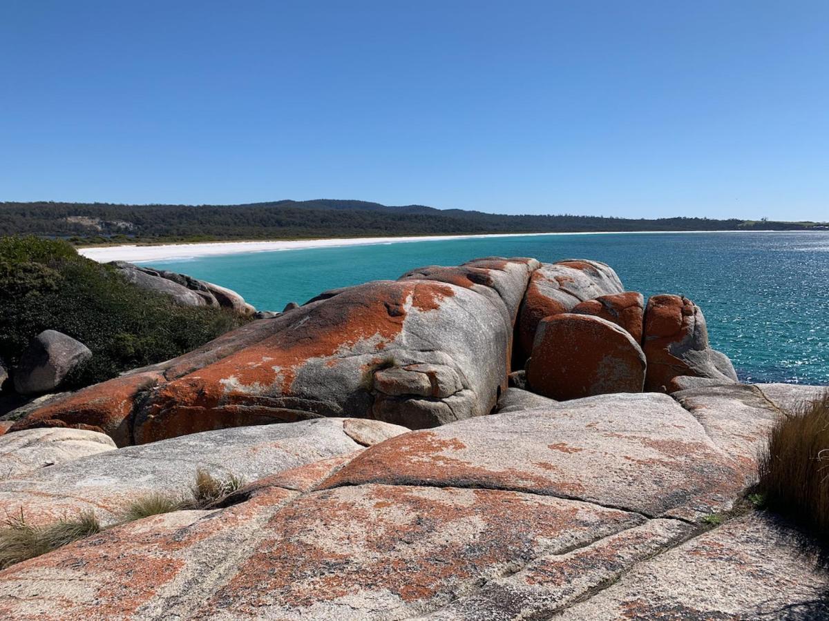 Vila Bay Of Fires Great Escape Binalong Bay Exteriér fotografie