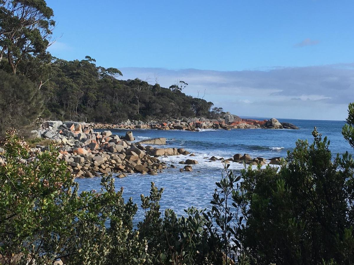 Vila Bay Of Fires Great Escape Binalong Bay Exteriér fotografie