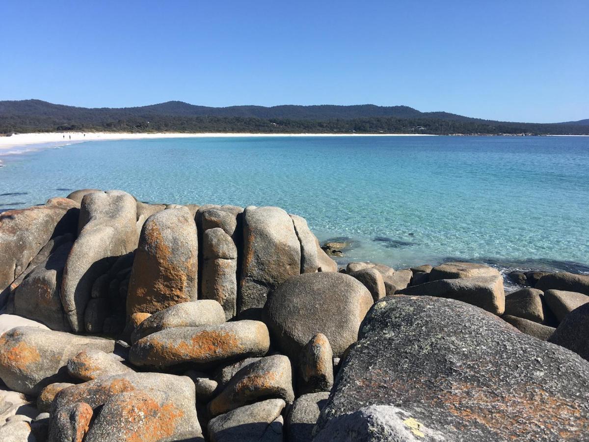 Vila Bay Of Fires Great Escape Binalong Bay Exteriér fotografie